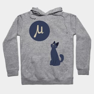 Cat of a physicist funny science joke Hoodie